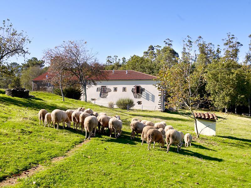 A Pena De Augasantas Guest House Oca de Abaixo Eksteriør bilde