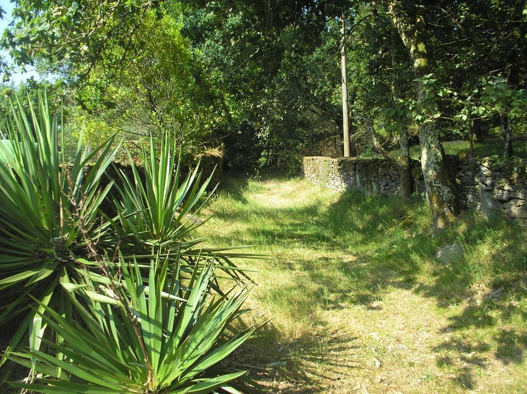 A Pena De Augasantas Guest House Oca de Abaixo Eksteriør bilde