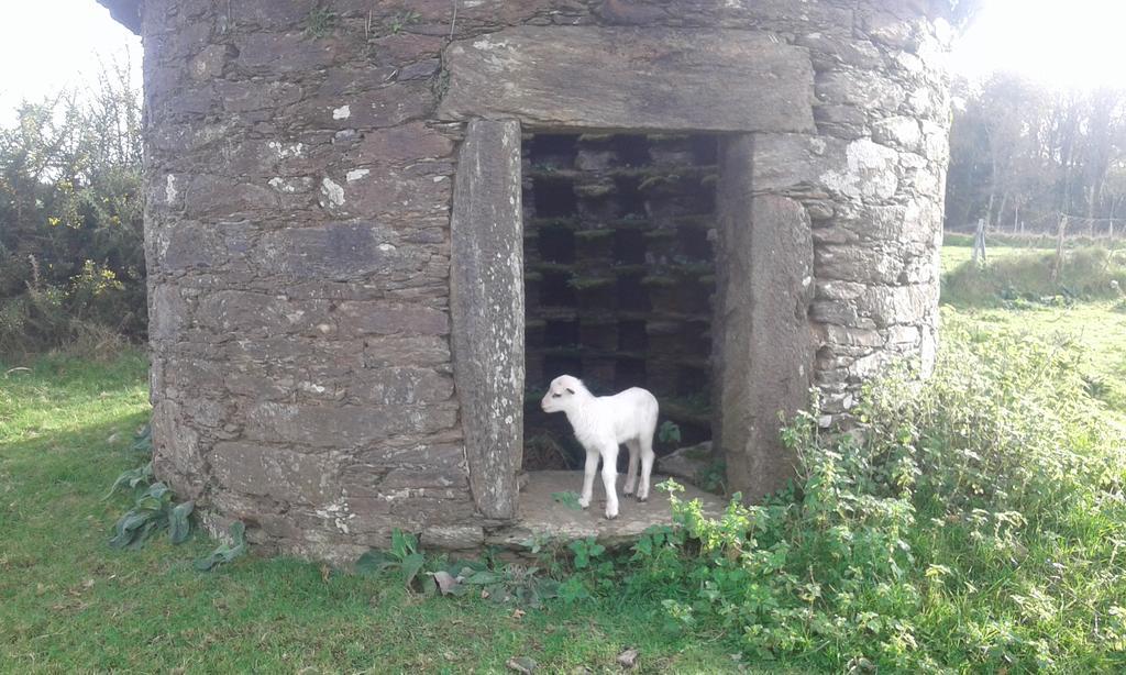 A Pena De Augasantas Guest House Oca de Abaixo Eksteriør bilde