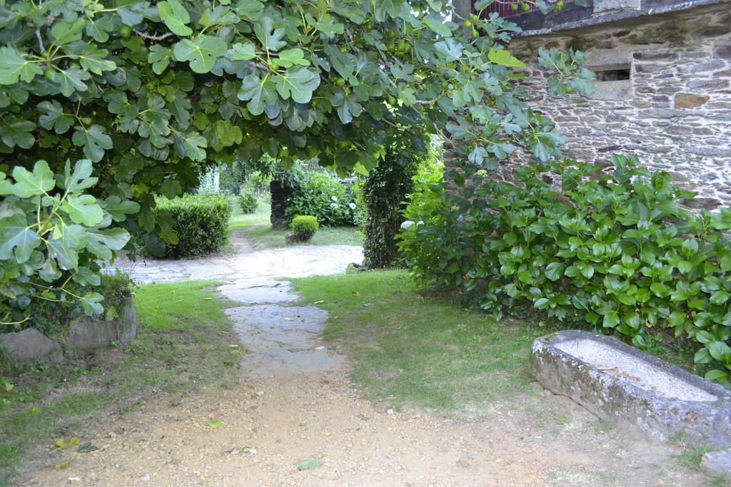 A Pena De Augasantas Guest House Oca de Abaixo Eksteriør bilde