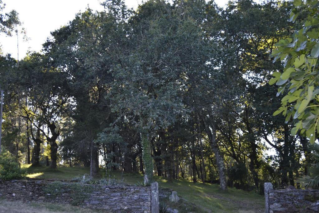 A Pena De Augasantas Guest House Oca de Abaixo Eksteriør bilde